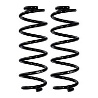 Fahrwerksfedern-Set Hinterachse Ø 10,3 mm 293 mm...