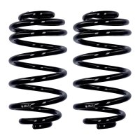 Fahrwerksfedern-Set Hinterachse Ø 14,3 mm 290 mm...
