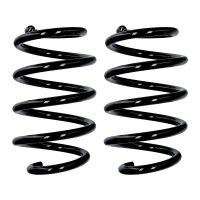 Suspension spring set front axle Ø 14.3 mm 259 mm...