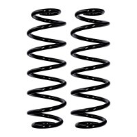 Suspension spring set rear axle Ø 10.8 mm 315 mm...