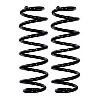 Fahrwerksfedern-Set Hinterachse Ø 11,3 mm 312 mm...