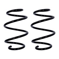 Suspension spring set front axle Ø 13.3 mm 290 mm...