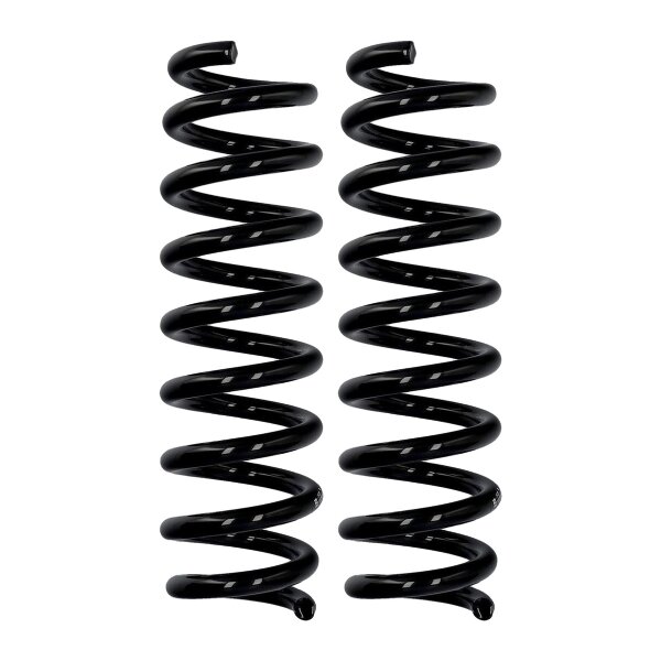 Fahrwerksfedern-Set Hinterachse Ø 12,5 mm 318 mm EIBACH für u.a. BMW 2