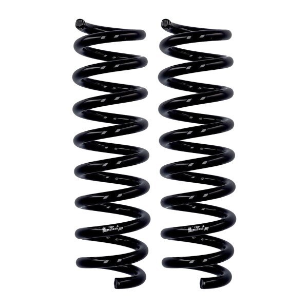 Fahrwerksfedern-Set Hinterachse Ø 13 mm 318 mm EIBACH für u.a. BMW 1