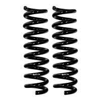 Fahrwerksfedern-Set Hinterachse Ø 13,8 mm 313 mm...