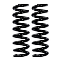 Suspension spring set car rear axle Ø 13.8 mm 291...