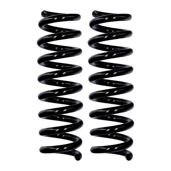 Fahrwerksfedern-Set Hinterachse Ø 14 mm 310 mm EIBACH für u.a. BMW 3