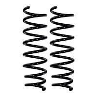 Fahrwerksfedern-Set Hinterachse Ø 11,5 mm 362 mm...