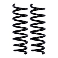 Fahrwerksfedern-Set Hinterachse Ø 12,3 mm 340 mm...