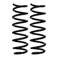 Fahrwerksfedern-Set Hinterachse Ø 12,3 mm 365 mm...