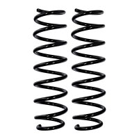 Fahrwerksfedern-Set Hinterachse Ø 11,8 mm 419 mm...