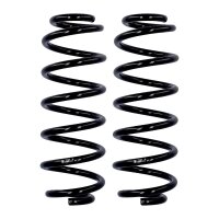 Suspension spring set rear axle Ø 11.5 mm 302 mm...