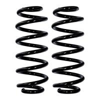 Fahrwerksfedern-Set Hinterachse Ø 12,8 mm 297 mm...