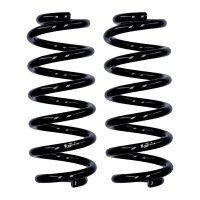 Fahrwerksfedern-Set Hinterachse Ø 13,8 mm 277 mm...