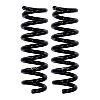 Fahrwerksfedern-Set Hinterachse Ø 14 mm 293 mm...