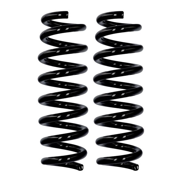 Fahrwerksfedern-Set Hinterachse Ø 13,5 mm 295 mm EIBACH für u.a. BMW 2