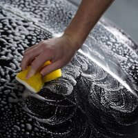 Insect remover 5x500 ml spray bottles LIQUI MOLY for heavy soiling