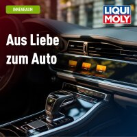 Plastic care product 5x250 ml in a bottle LIQUI MOLY for real deep care