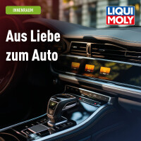 Interior cleaner 3x500 ml spray bottles LIQUI MOLY for car interiors