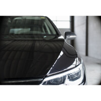 Insect remover 2x500 ml spray bottles LIQUI MOLY for heavy soiling