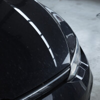 Insect remover 2x500 ml spray bottles LIQUI MOLY for heavy soiling