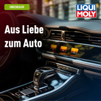 Plastic care product 2x250 ml in a bottle LIQUI MOLY for real deep care