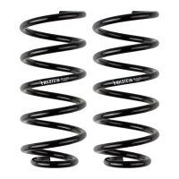 Fahrwerksfedern-Set Hinterachse BILSTEIN B3 für u.a....