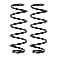 Fahrwerksfedern-Set für die Auto-Hinterachse...