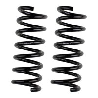 Fahrwerksfedern-Set Hinterachse BILSTEIN B3 für u.a....