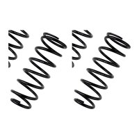 Fahrwerksfedern-Set Hinterachse BILSTEIN B12 für...