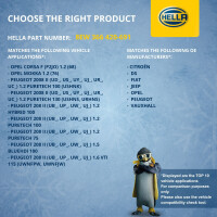 Engine Cooling Fan 12 V 250 W 2-pole HELLA suitable for e.g. OPEL MOKKA