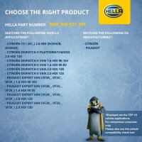 Engine Cooling Fan 12 V 252 W 2-pole HELLA for e.g. CITROËN JUMPY