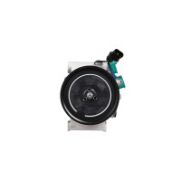 Air Conditioning Compressor 12 V Ø 113.5 HELLA...