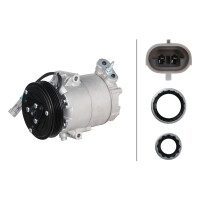 Air Conditioning Compressor 12 V Ø 115 HELLA...