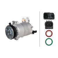 Air Conditioning Compressor 12 V Ø 108 HELLA...