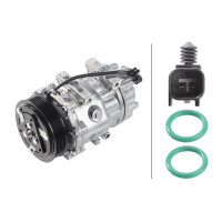 Klimakompressor 12 V Ø 119 HELLA IAM-Expertise...