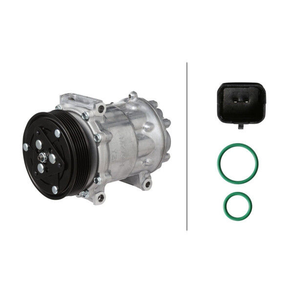 Klimakompressor 12 V Ø 119 HELLA IAM-Expertise passend für u.a. PEUGEOT 407
