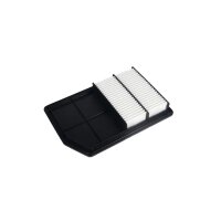 Air Filter insert 307 x 207 mm HELLA IAM-Expertise fits...