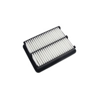 Air Filter insert 227 x 173 mm HELLA IAM-Expertise...