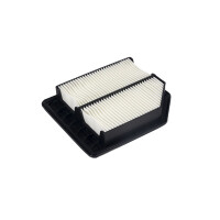 Air Filter insert 225 x 196 mm HELLA IAM-Expertise...