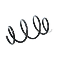 Suspension Spring front axle coil spring KYB suitable for NISSAN JUKE