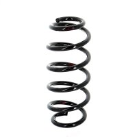 Fahrwerksfeder Hinterachse Schraubenfeder Ø 125 mm...