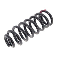 Suspension Spring front axle coil spring Ø 120 mm...