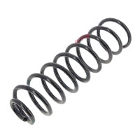 Suspension Spring rear axle coil spring Ø 110 mm...