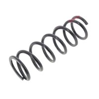 Suspension Spring front axle coil spring Ø 110 mm KYB for LEXUS IS