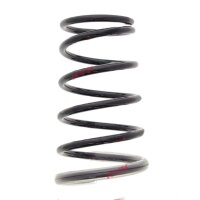 Fahrwerksfeder Hinterachse Schraubenfeder Ø 171 mm...