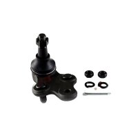 Trag- und Führungsgelenk Vorderachse rechts Stahl...