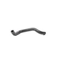 Radiator Hose right METZGER IAM-Expertise suitable for e.g. RENAULT CLIO