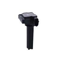 Zündspule Anschlussausführung SAE 1 Ausgang und...