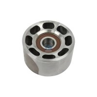 Umlenk-/Führungsrolle Ø 74 mm DT SPARE PARTS...